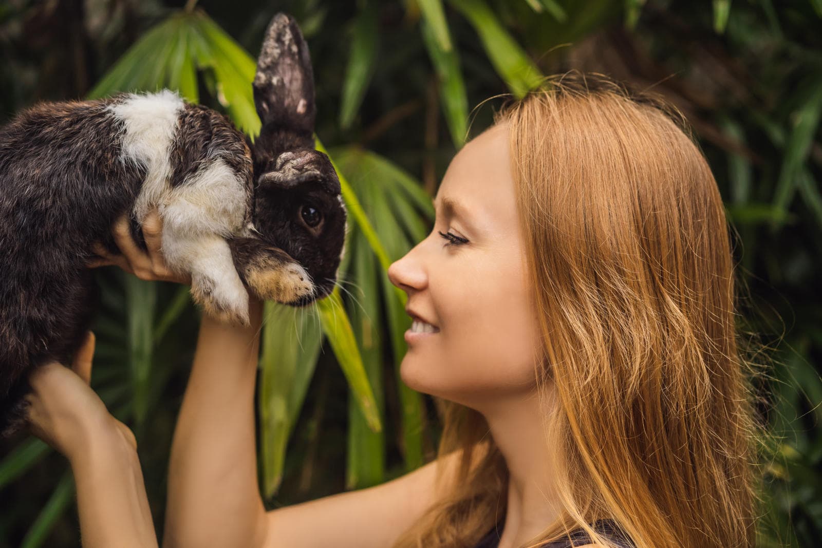 Pet care tips from across the globe: Practices and products you should explore.