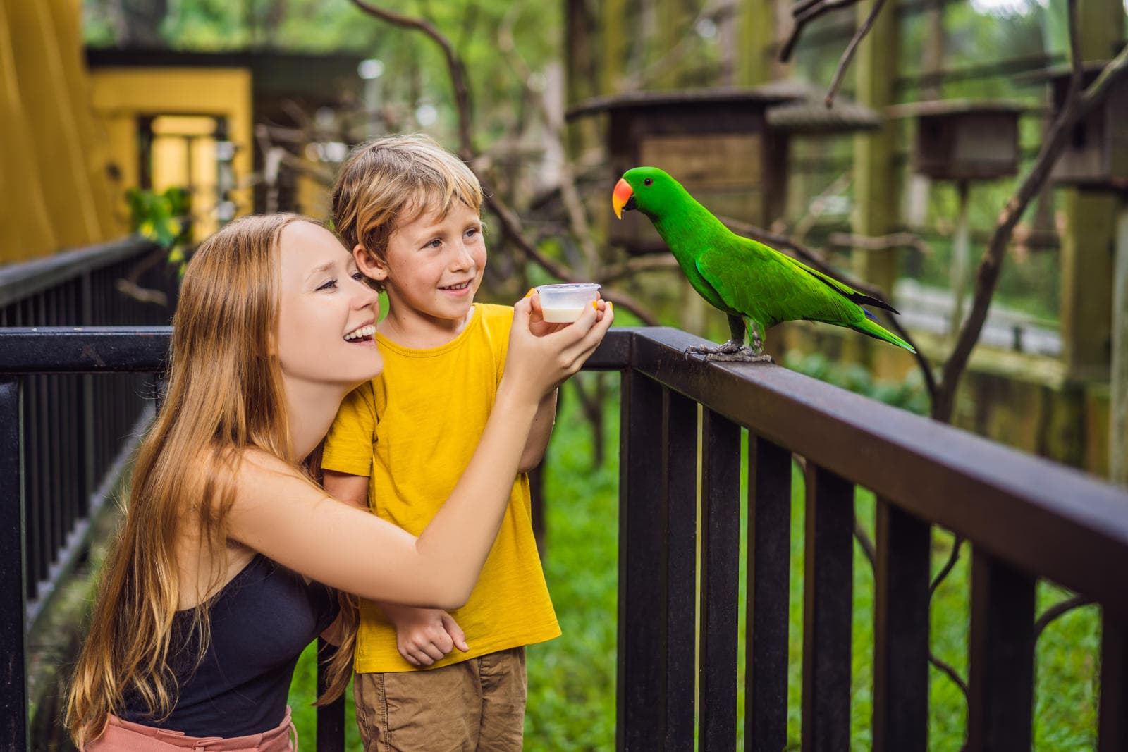 Local Experiences at Munnar: A Nature-Filled Journey with Flora & Fauna